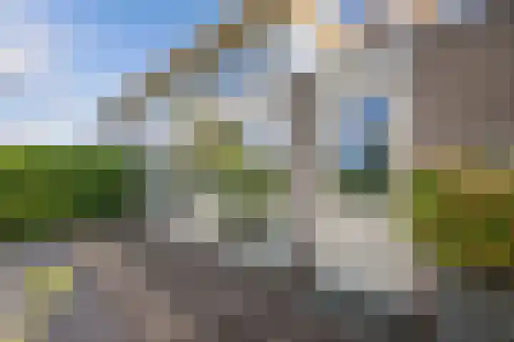 Waterlelie 1 Drachten thumbnail 45