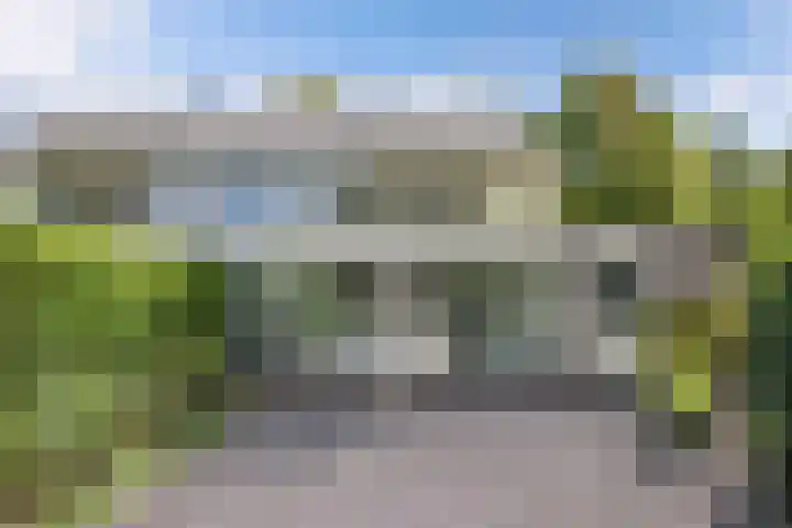 Waterlelie 1 Drachten thumbnail 46