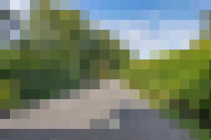 Waterlelie 1 Drachten thumbnail 47