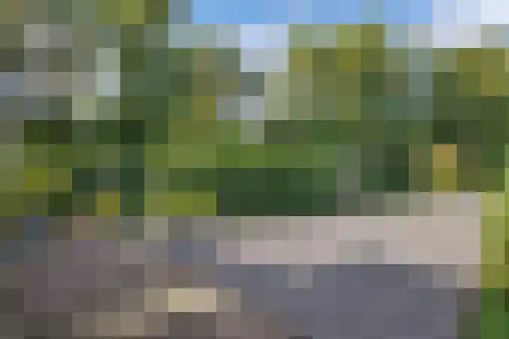 Waterlelie 1 Drachten thumbnail 49