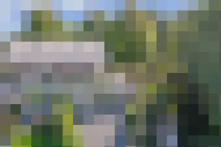 Waterlelie 1 Drachten thumbnail 52