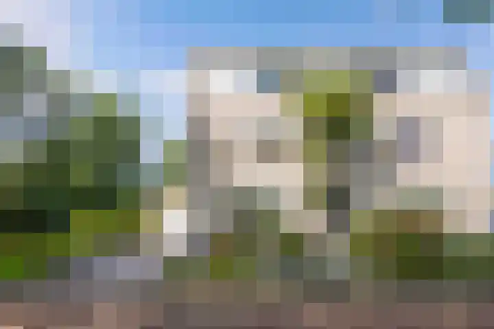 Waterlelie 1 Drachten thumbnail 6