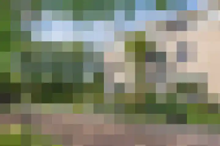 Waterlelie 1 Drachten thumbnail 7
