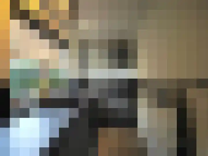 Waterlelie 1 Nieuw-Lekkerland thumbnail 19