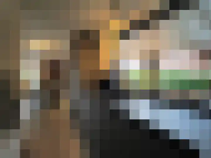 Waterlelie 1 Nieuw-Lekkerland thumbnail 21