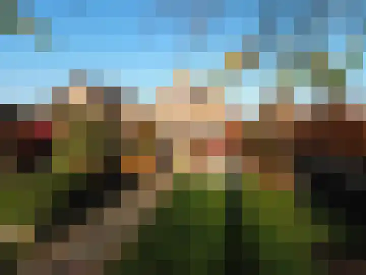 Waterlelie 1 Nieuw-Lekkerland thumbnail 28