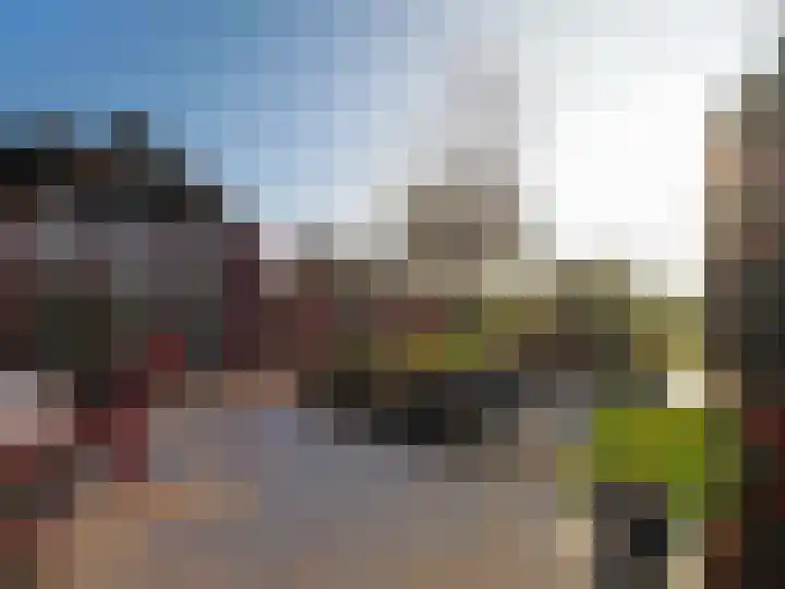 Waterlelie 1 Nieuw-Lekkerland thumbnail 31