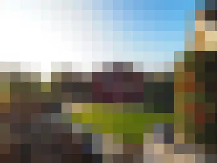 Waterlelie 1 Nieuw-Lekkerland thumbnail 32