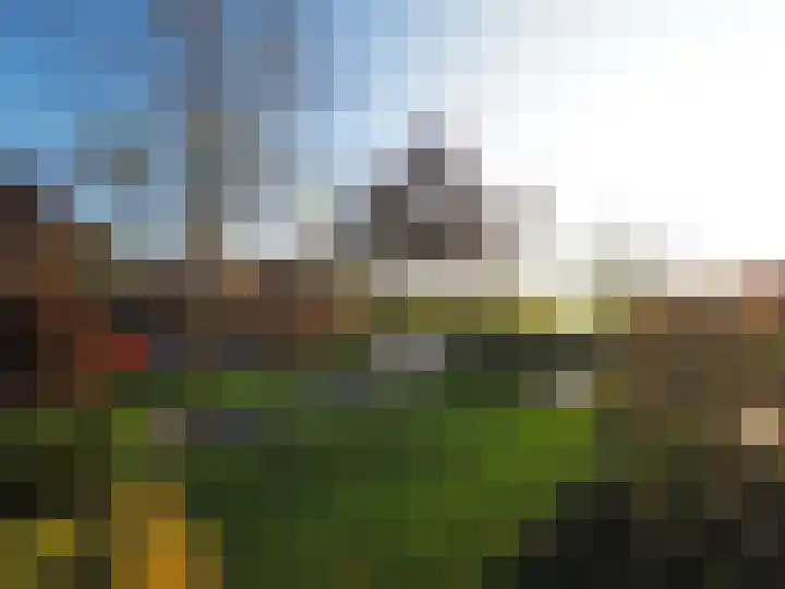 Waterlelie 1 Nieuw-Lekkerland thumbnail 34