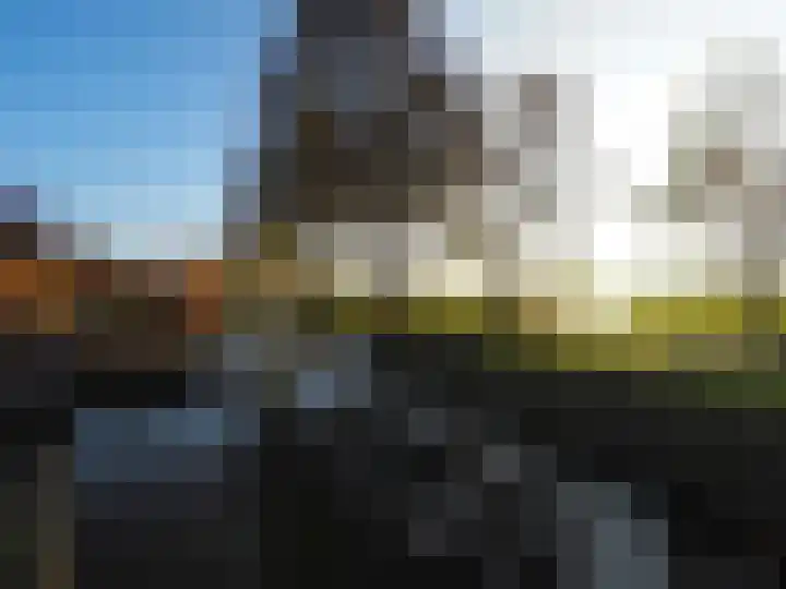 Waterlelie 1 Nieuw-Lekkerland thumbnail 37