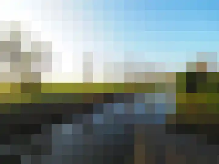 Waterlelie 1 Nieuw-Lekkerland thumbnail 38