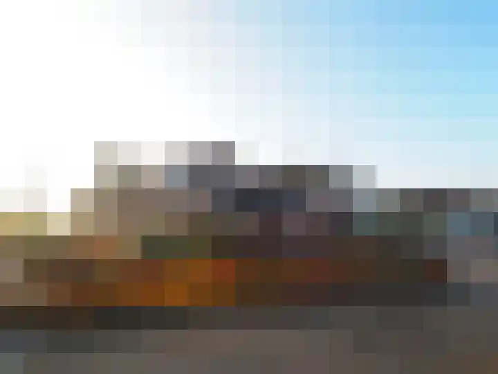 Waterlelie 1 Nieuw-Lekkerland thumbnail 4