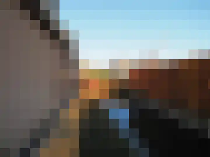 Waterlelie 1 Nieuw-Lekkerland thumbnail 40