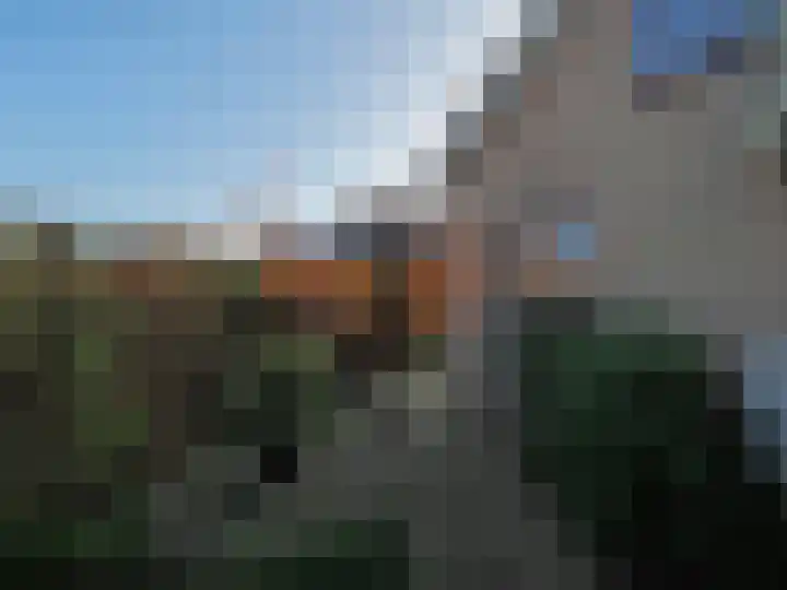 Waterlelie 1 Nieuw-Lekkerland thumbnail 41