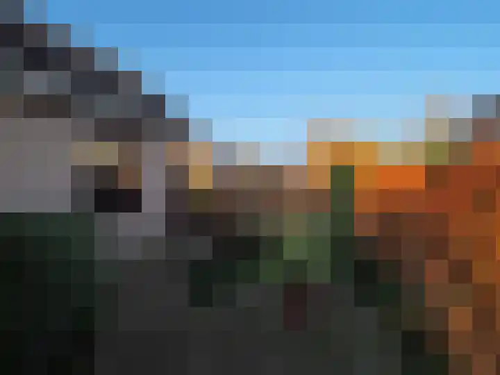 Waterlelie 1 Nieuw-Lekkerland thumbnail 42