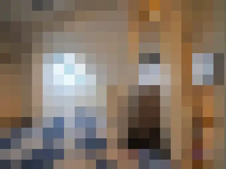Waterlelie 1 Nieuw-Lekkerland thumbnail 43