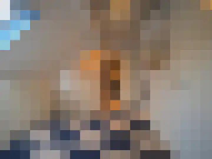 Waterlelie 1 Nieuw-Lekkerland thumbnail 44