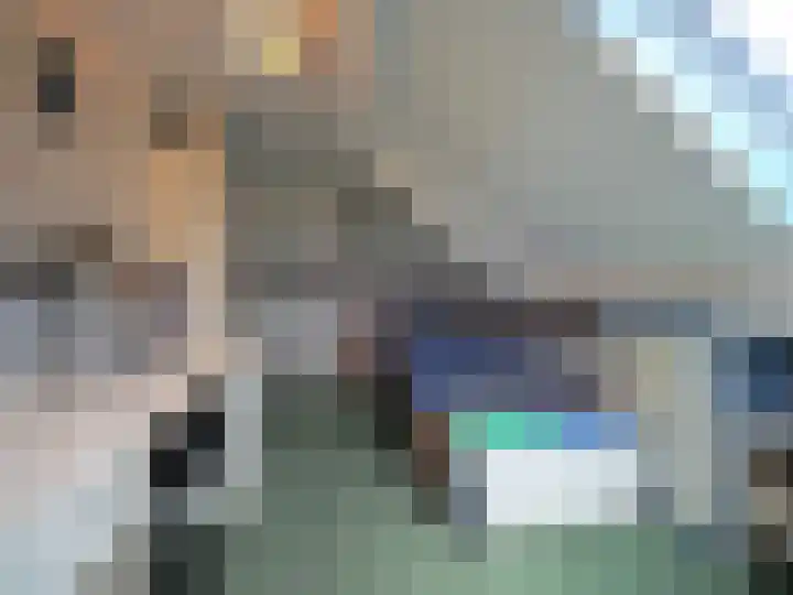 Waterlelie 1 Nieuw-Lekkerland thumbnail 49