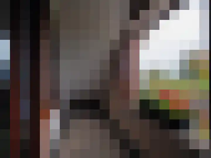 Waterlelie 1 Nieuw-Lekkerland thumbnail 53
