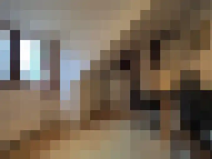 Waterlelie 1 Nieuw-Lekkerland thumbnail 56