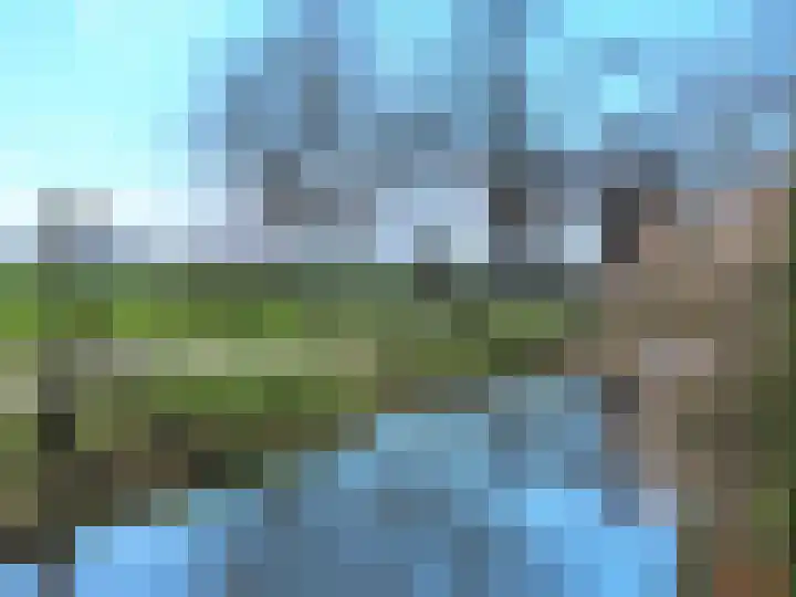 Waterlelie 1 Nieuw-Lekkerland thumbnail 59