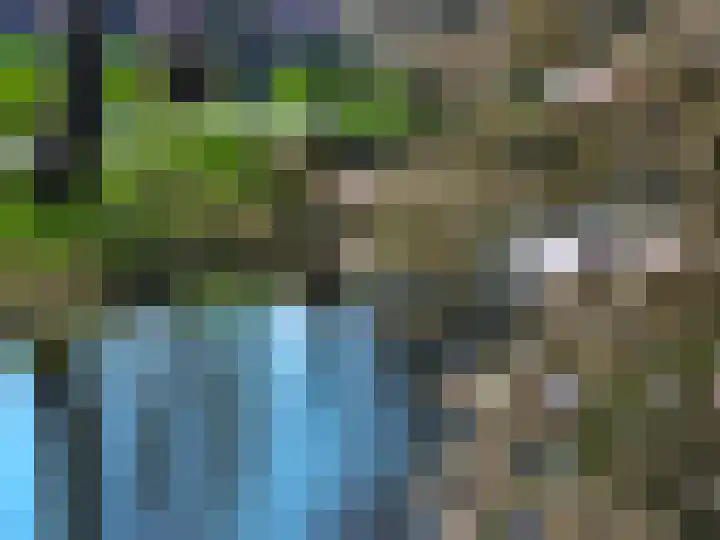 Waterlelie 1 Nieuw-Lekkerland thumbnail 60