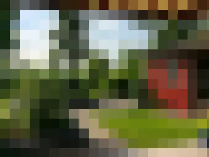 Waterlelie 1 Nieuw-Lekkerland thumbnail 61