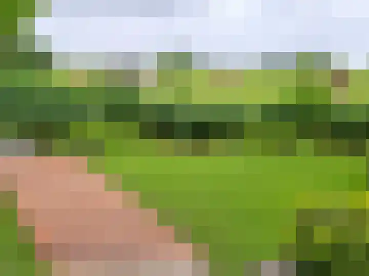 Waterlelie 1 Nieuw-Lekkerland thumbnail 62