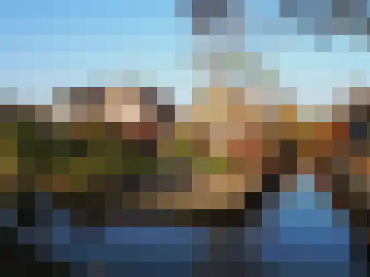 Waterlelie 1 Nieuw-Lekkerland thumbnail 69
