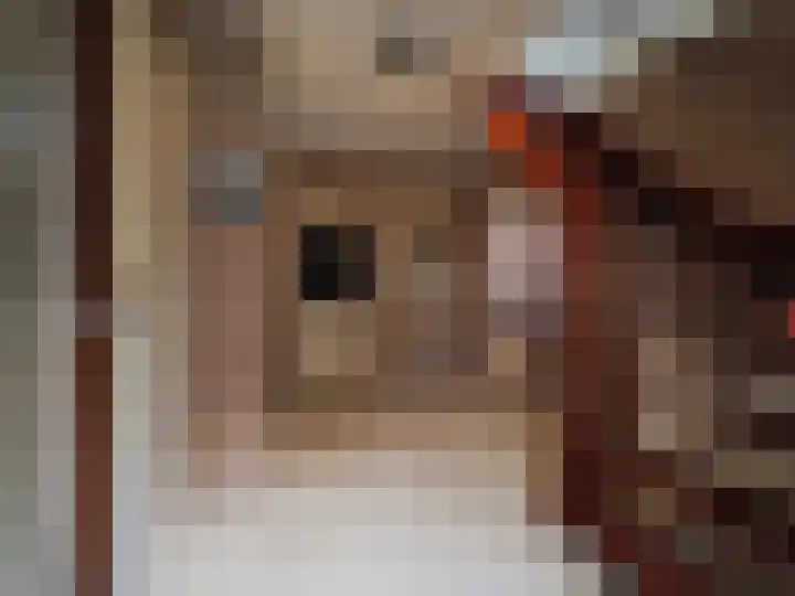Waterlelie 1 Nieuw-Lekkerland thumbnail 8