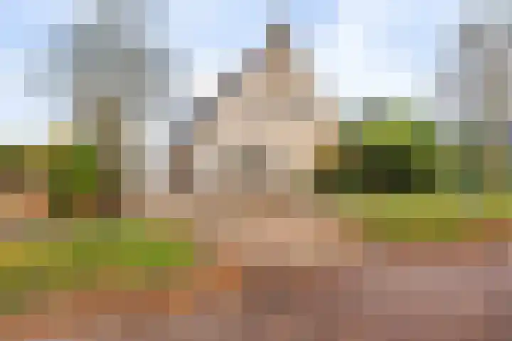 Waterlelie 10 Scheemda thumbnail 35