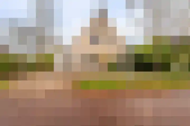 Waterlelie 10 Scheemda thumbnail 36