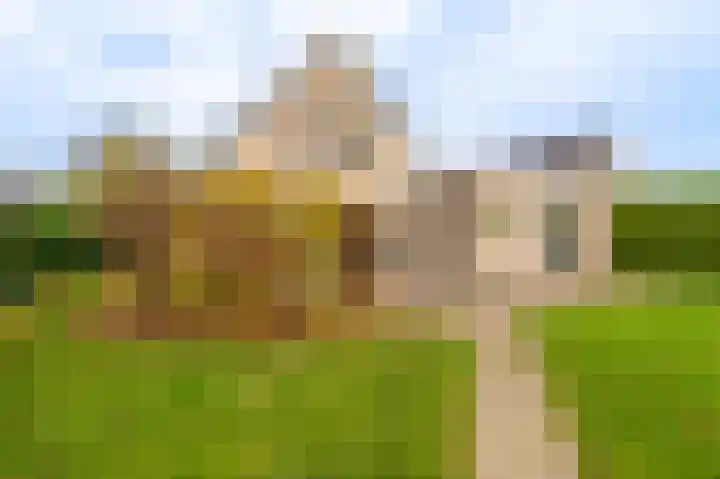 Waterlelie 10 Scheemda thumbnail 38