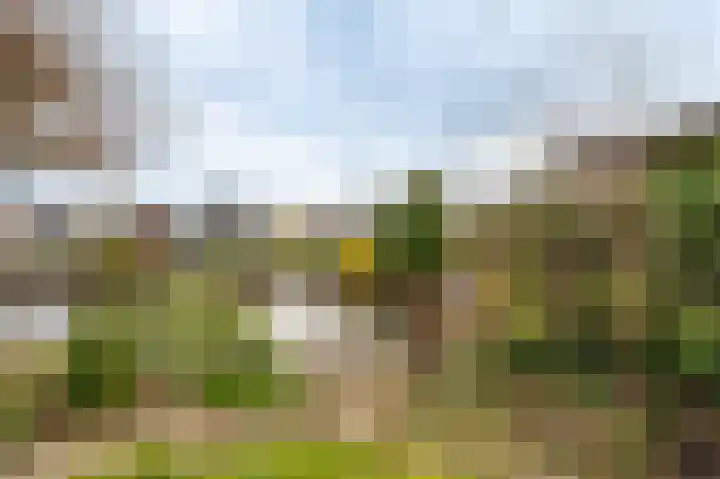 Waterlelie 10 Scheemda thumbnail 42