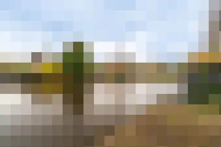 Waterlelie 10 Scheemda thumbnail 45