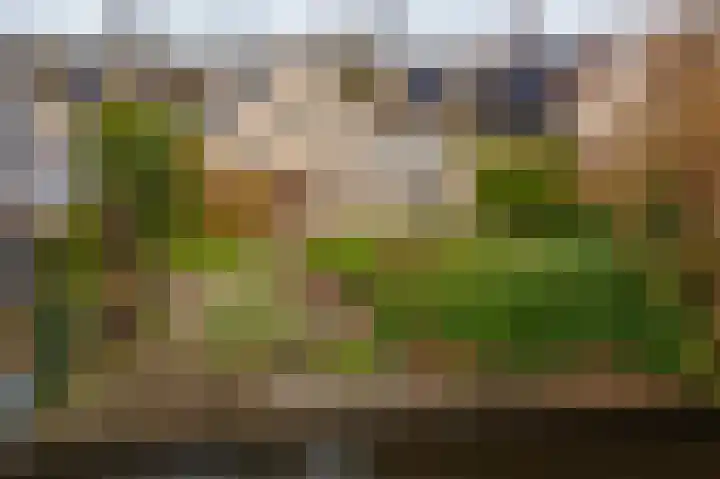 Waterlelie 10 Scheemda thumbnail 48