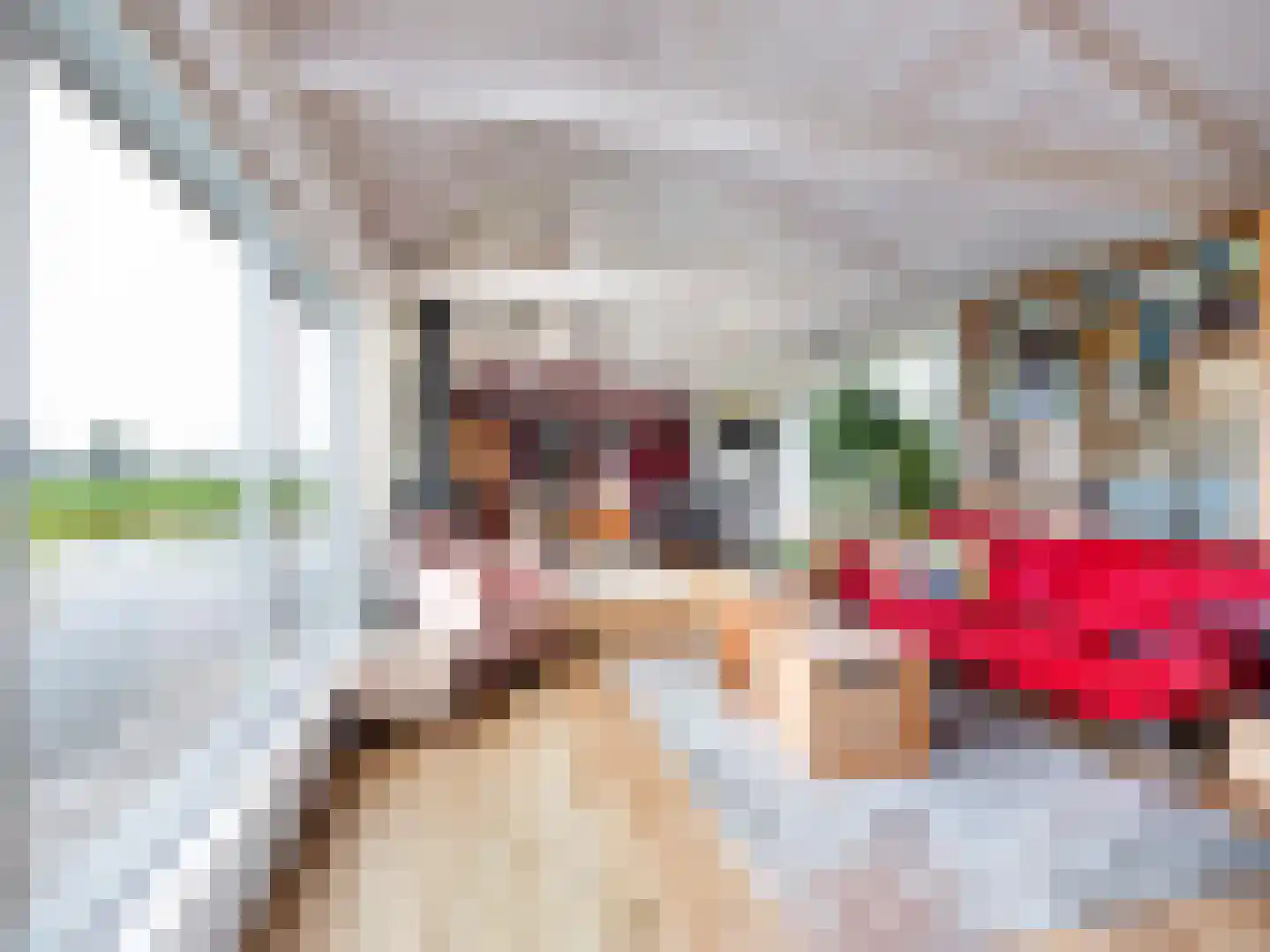 Waterlelie 10 Wilnis thumbnail 10