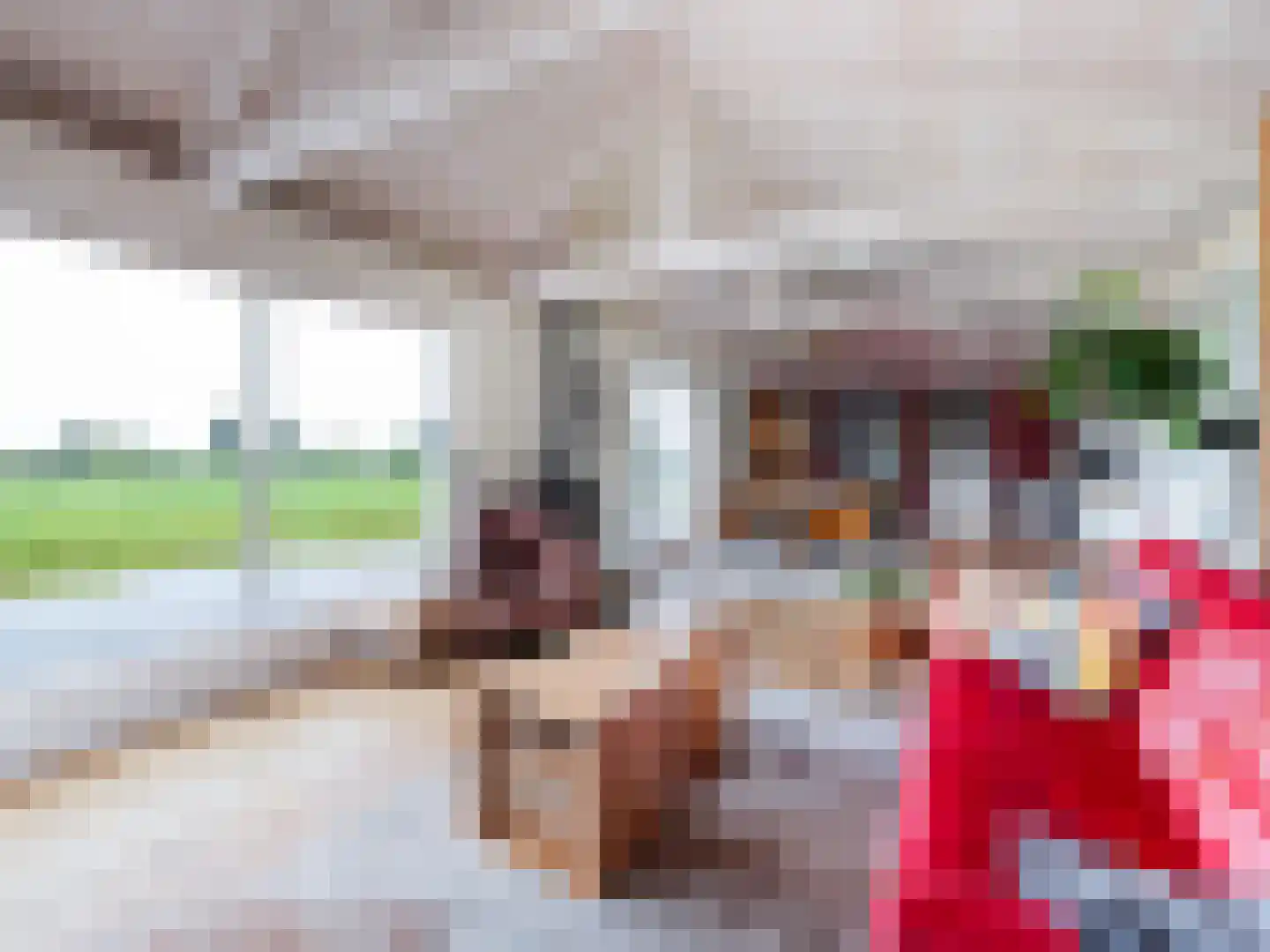 Waterlelie 10 Wilnis thumbnail 11