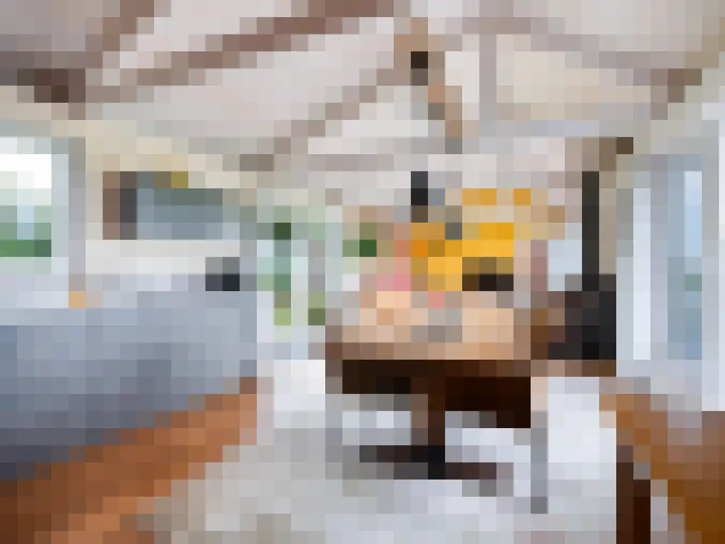 Waterlelie 10 Wilnis thumbnail 16