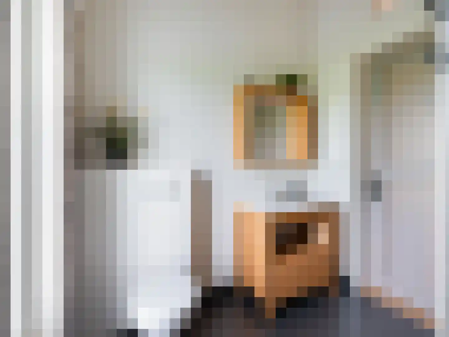 Waterlelie 10 Wilnis thumbnail 18