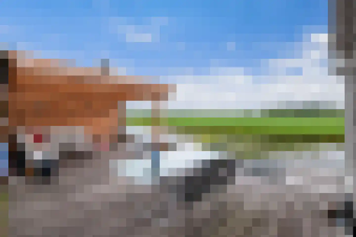 Waterlelie 10 Wilnis thumbnail 25