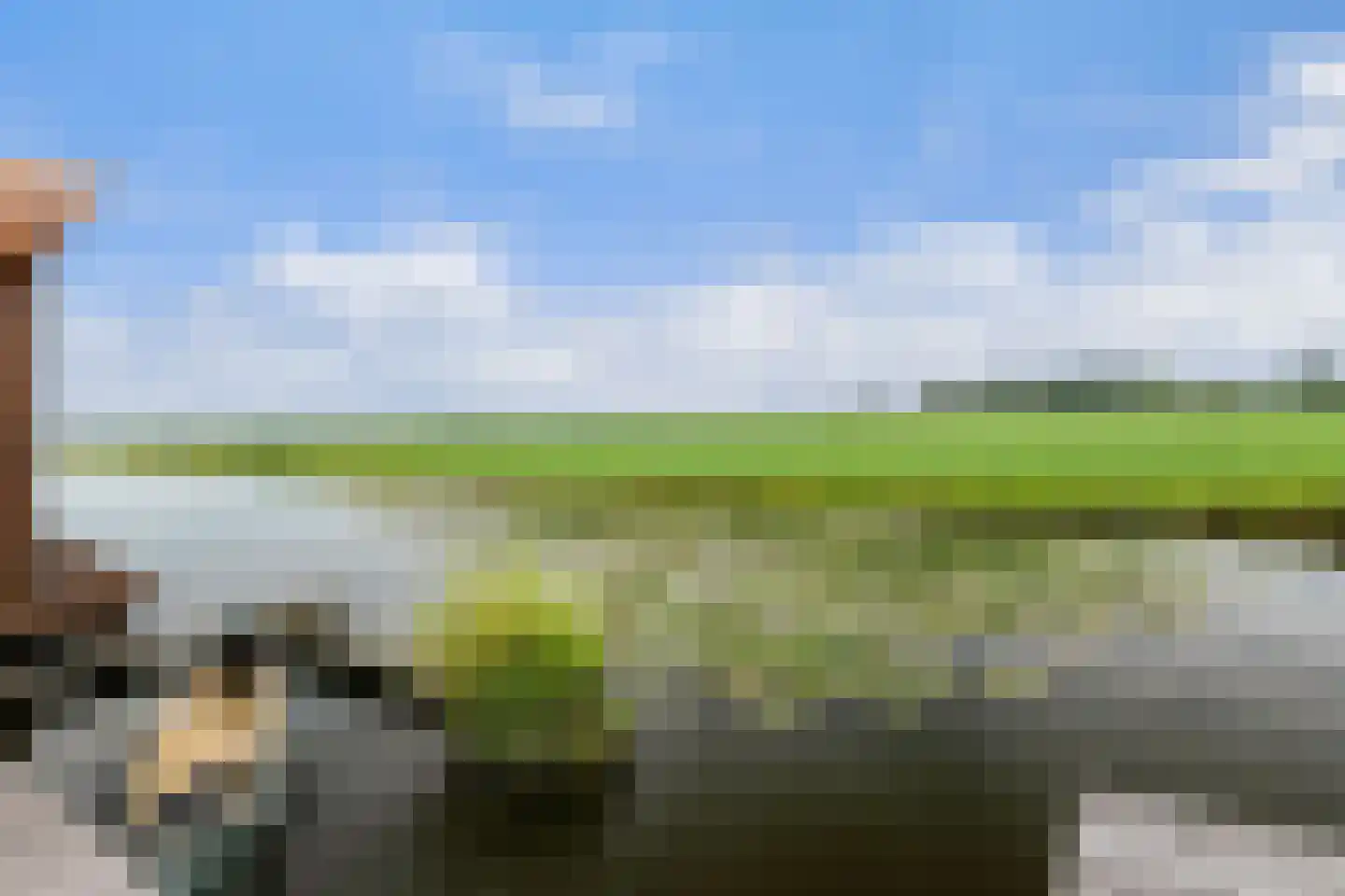 Waterlelie 10 Wilnis thumbnail 26