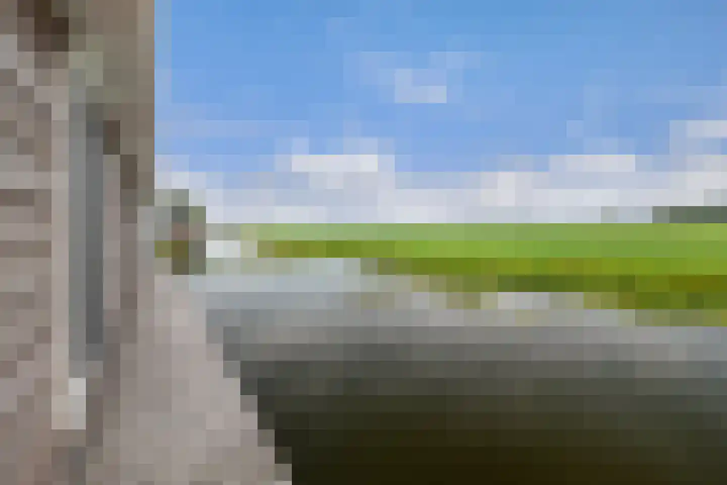 Waterlelie 10 Wilnis thumbnail 27