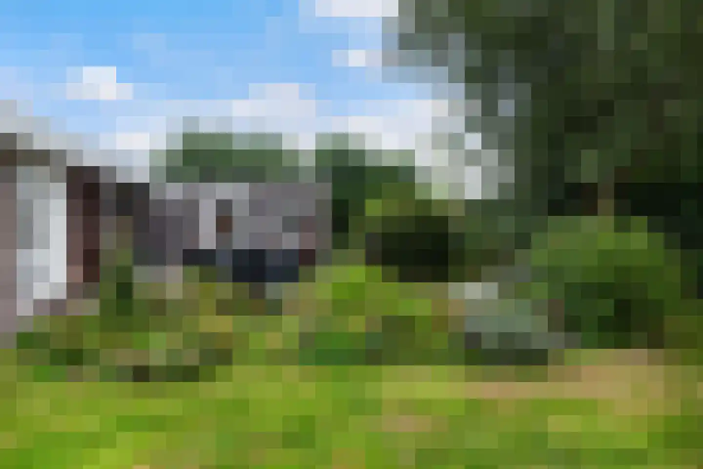 Waterlelie 10 Wilnis thumbnail 28