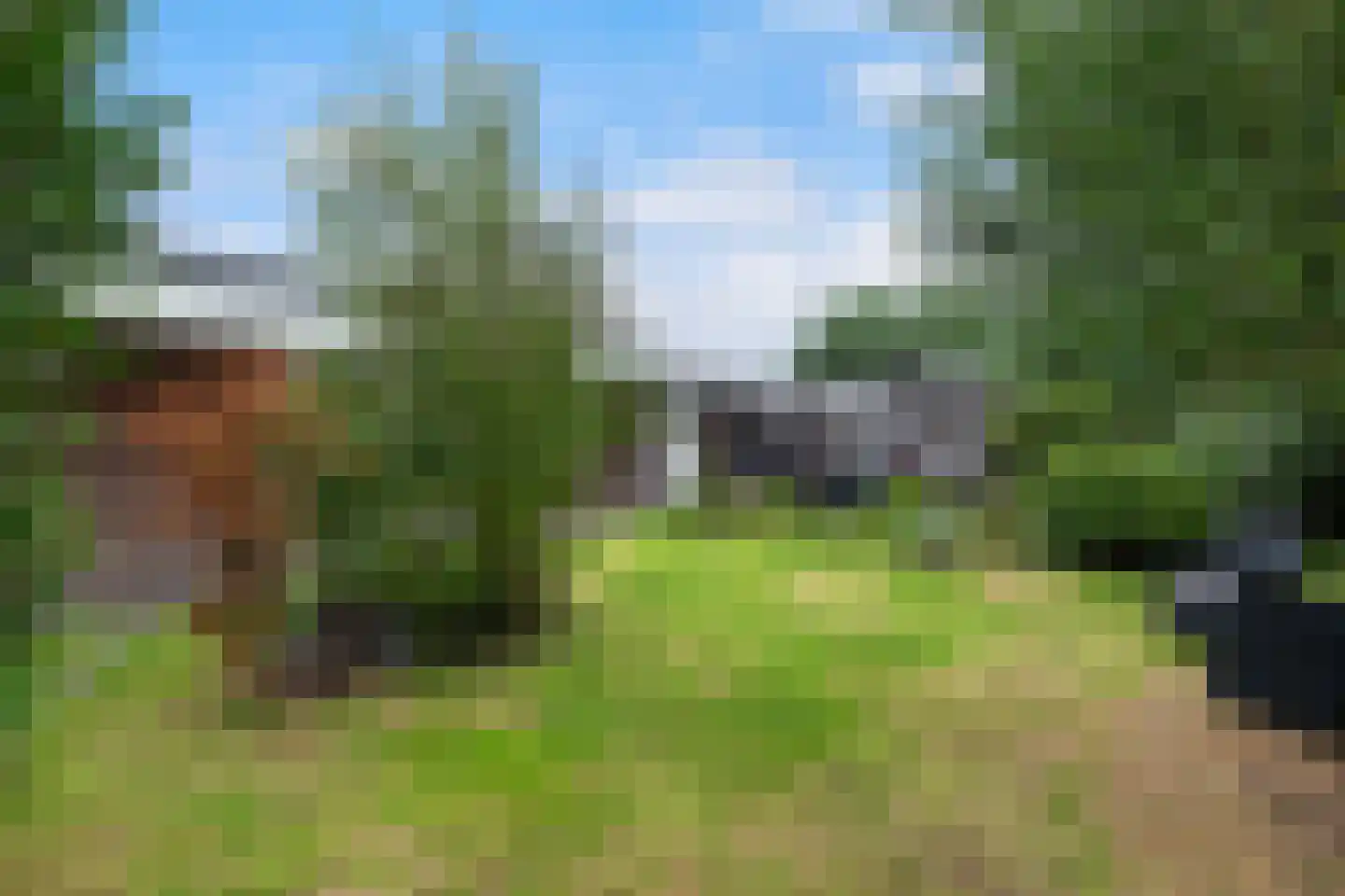 Waterlelie 10 Wilnis thumbnail 29