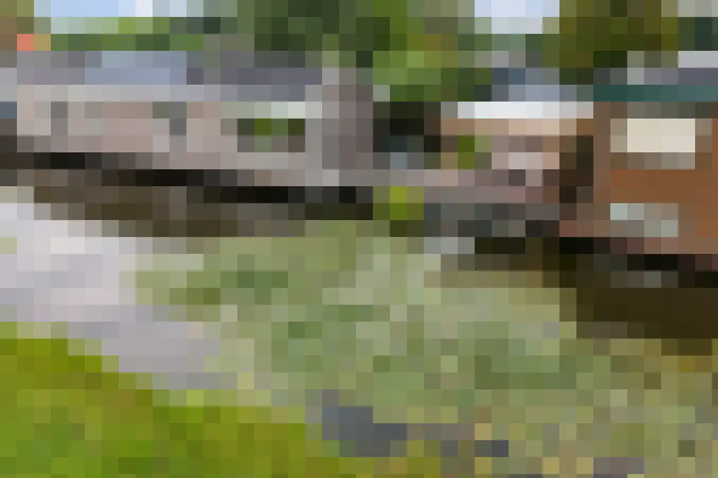 Waterlelie 10 Wilnis thumbnail 31