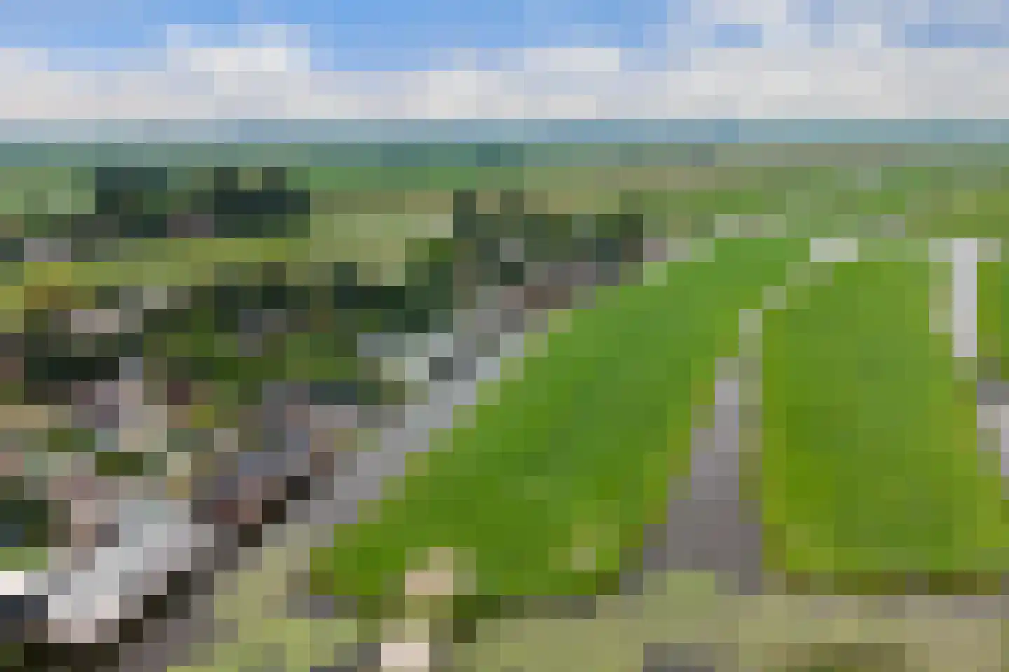 Waterlelie 10 Wilnis thumbnail 33