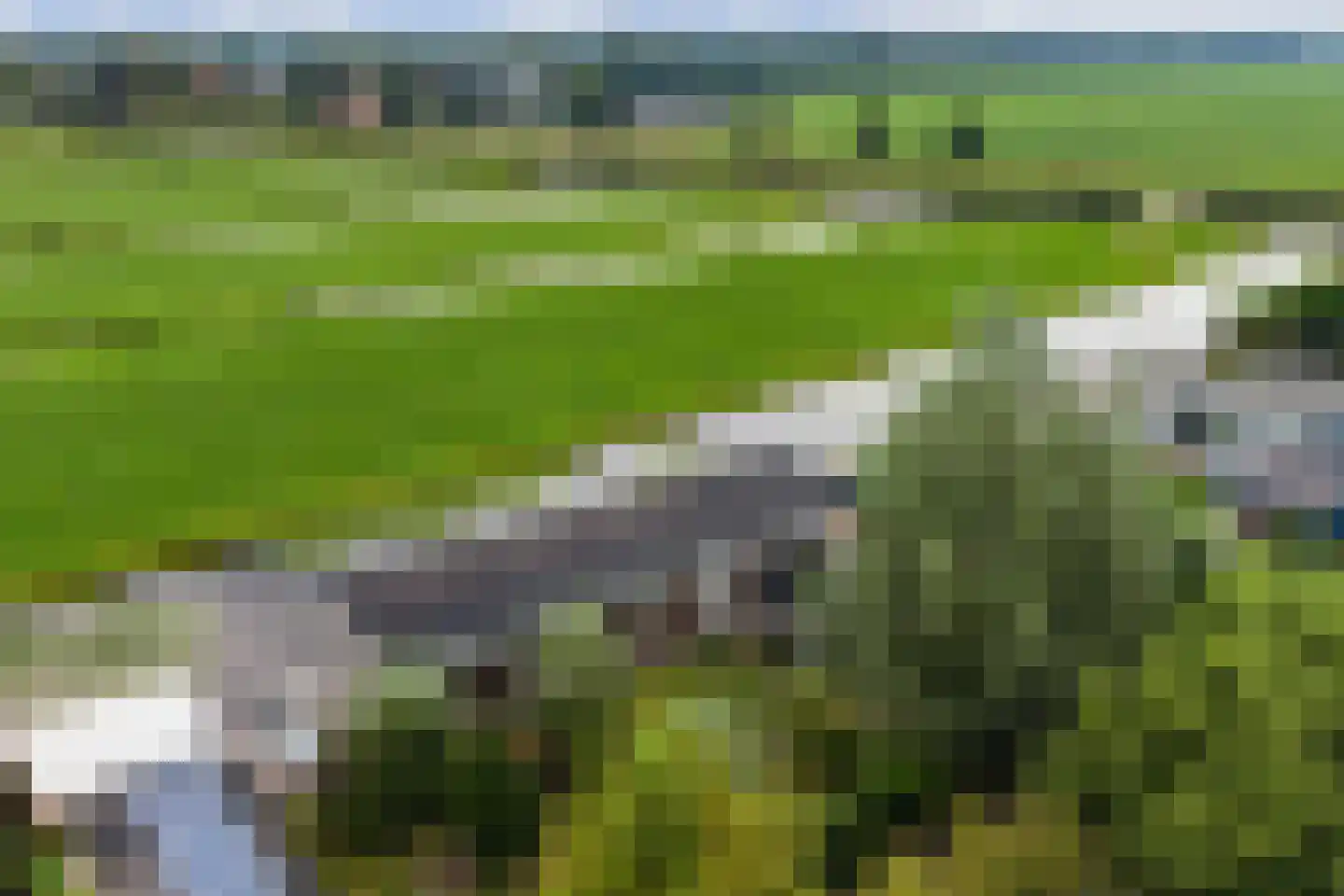 Waterlelie 10 Wilnis thumbnail 4