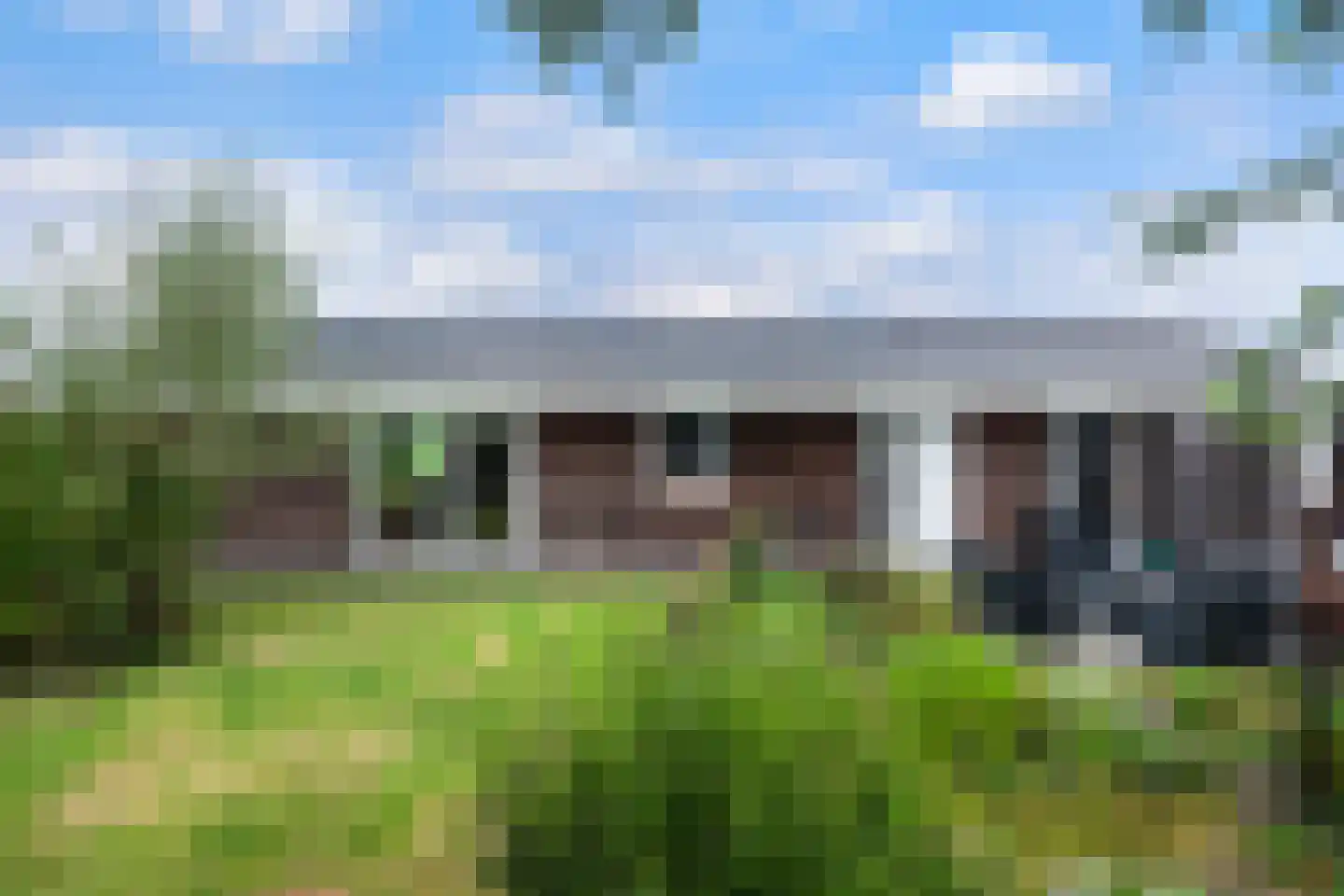 Waterlelie 10 Wilnis thumbnail 6