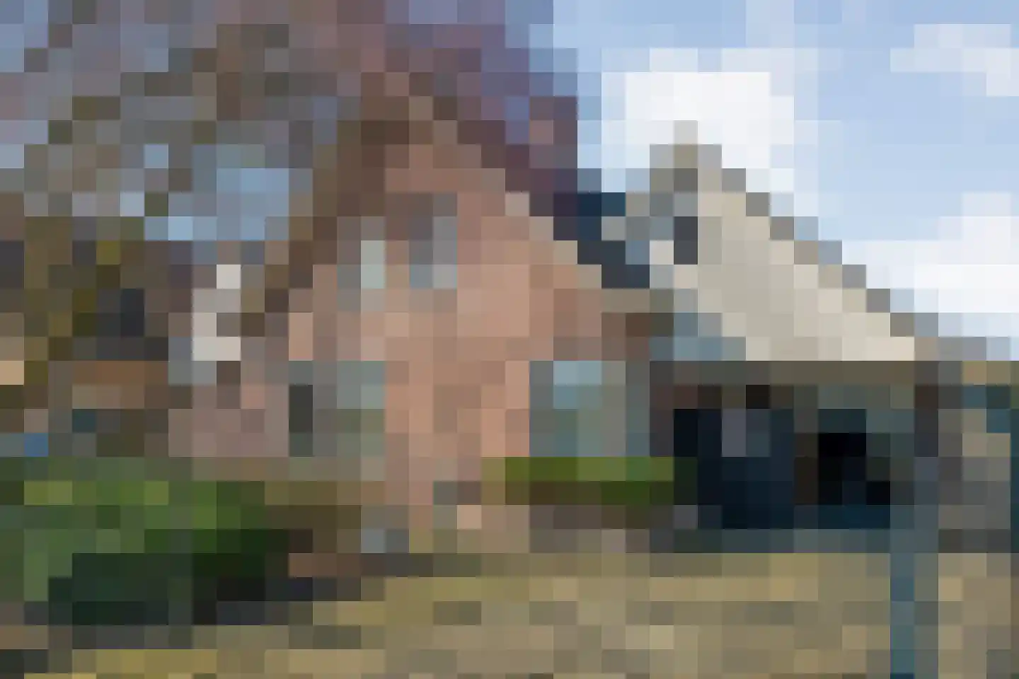 Waterlelie 11 Hardenberg